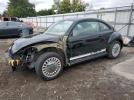 Volkswagen Beetle Image 1