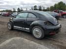 Volkswagen Beetle Image 4