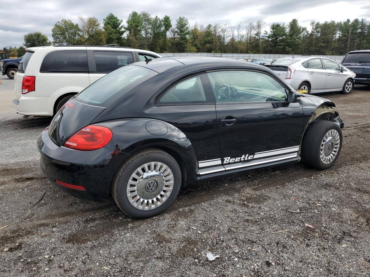 Volkswagen Beetle Image 2