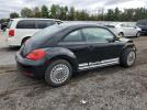 Volkswagen Beetle Image 2
