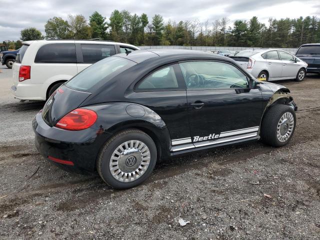 Volkswagen Beetle Image 2