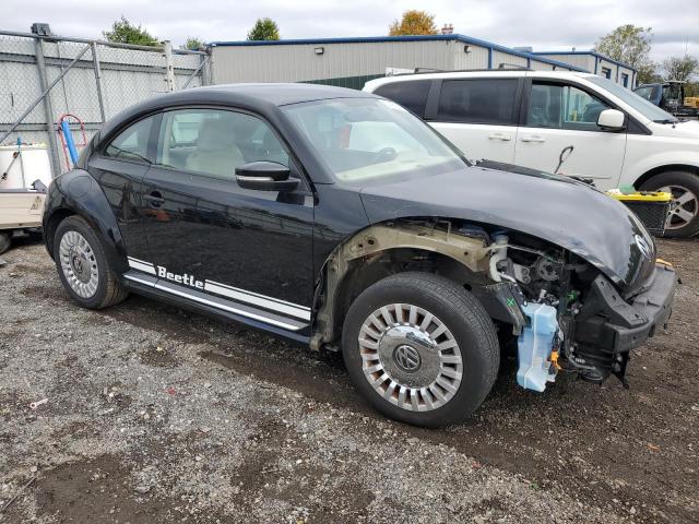 Volkswagen Beetle Image 7