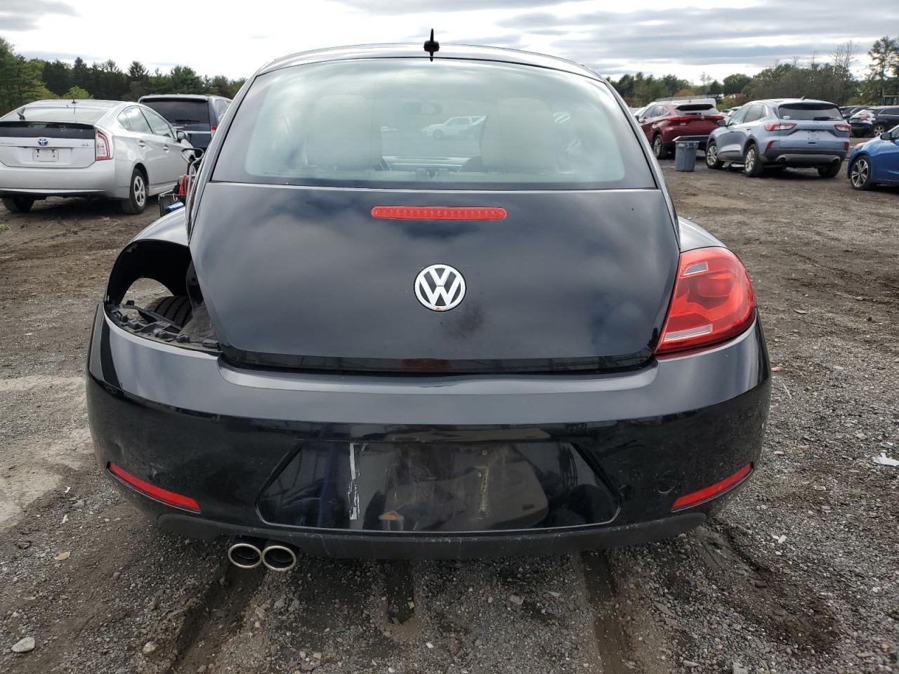 Volkswagen Beetle Image 13