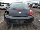 Volkswagen Beetle Image 13