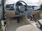 Volkswagen Beetle Image 12