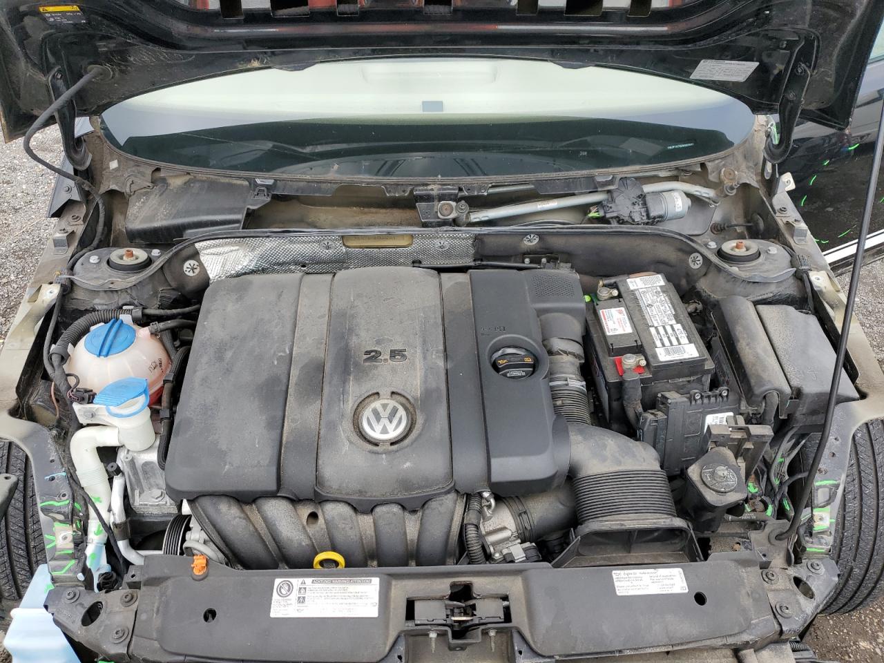 Volkswagen Beetle Image 9