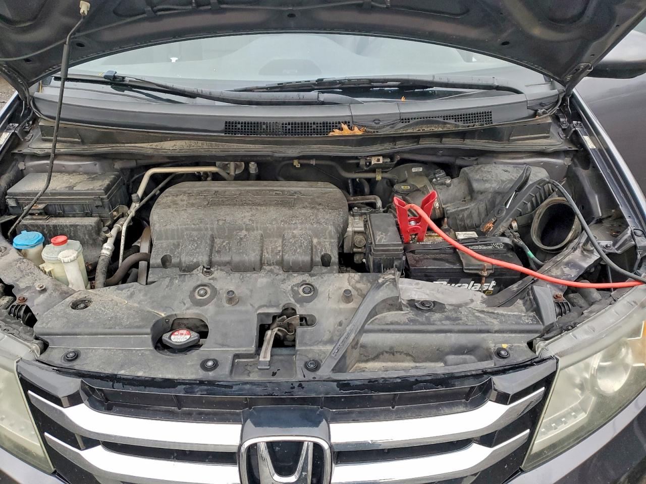 Honda Odyssey Exl Image 8