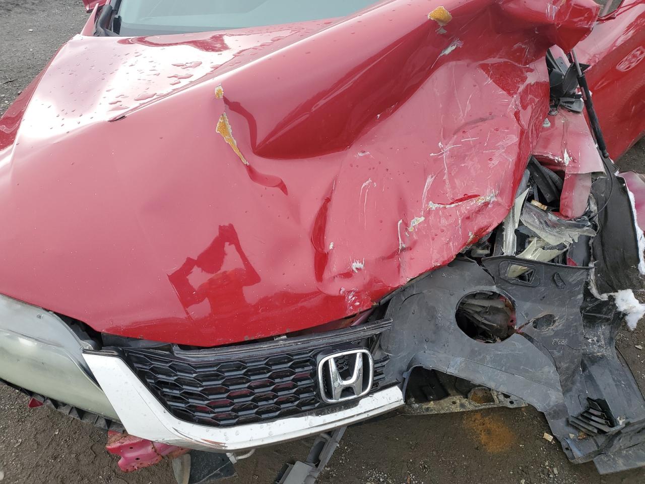 Honda Accord Exl Image 12