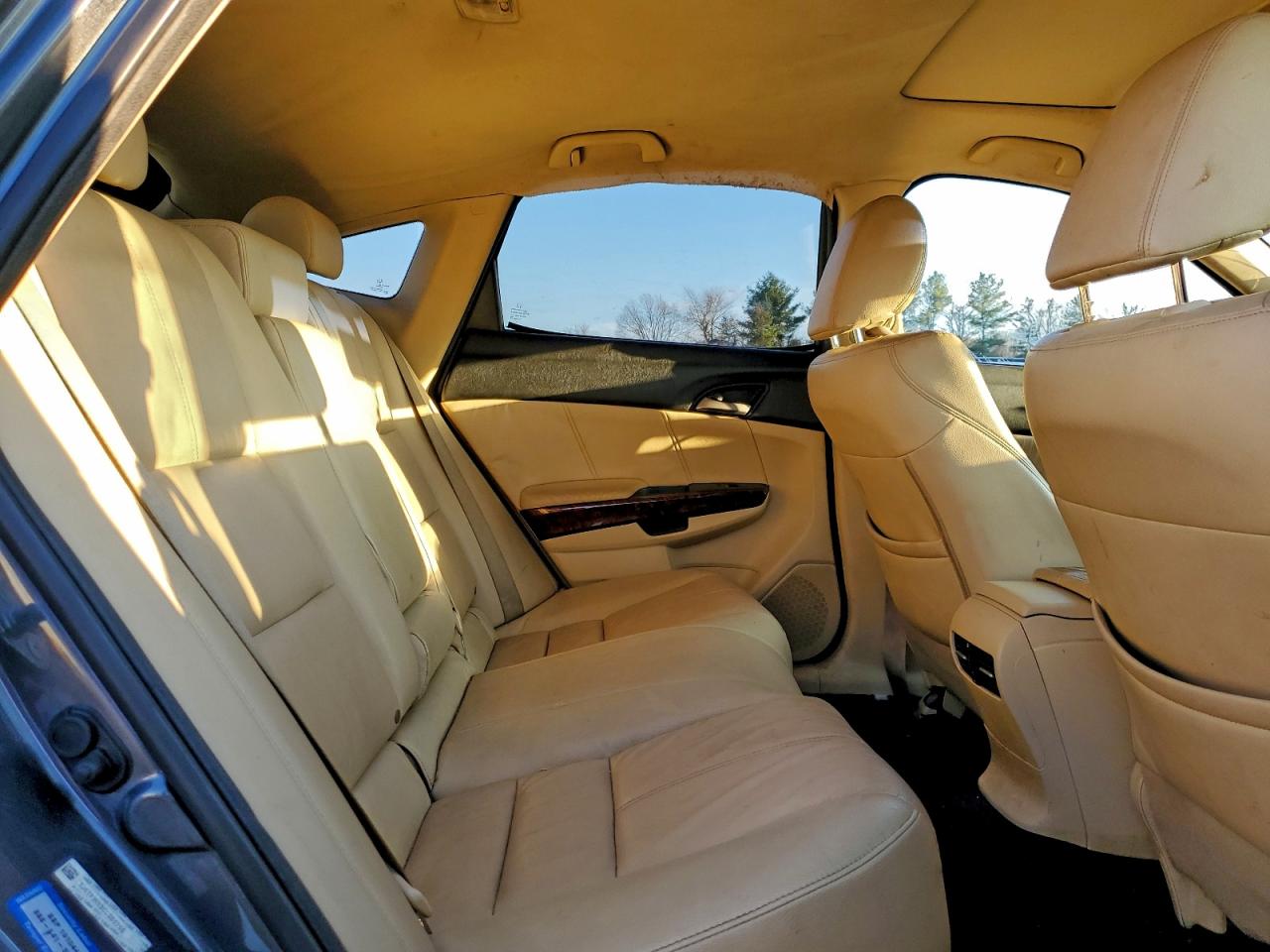 Honda Crosstour Exl Image 7