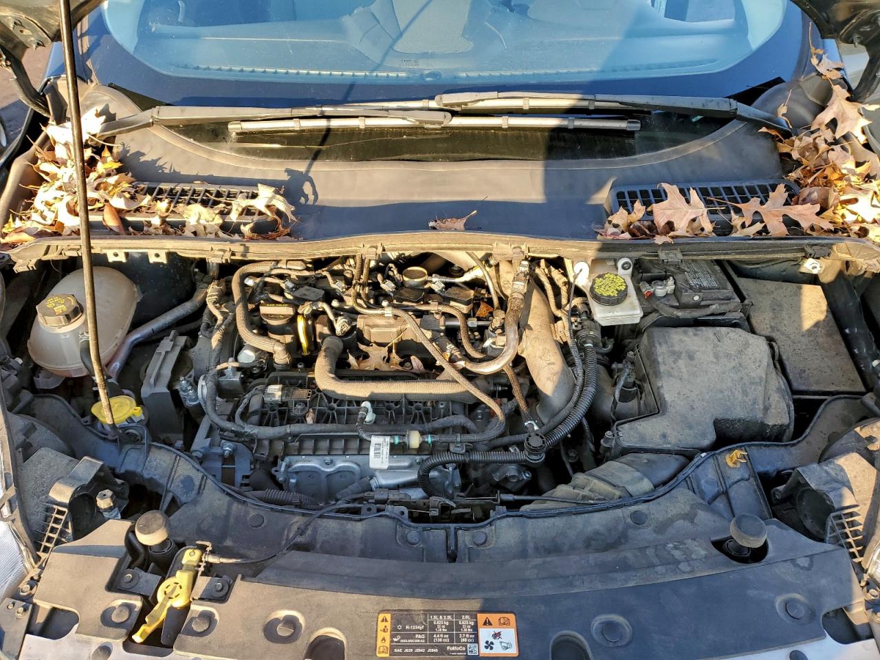 Ford Escape Se Image 10