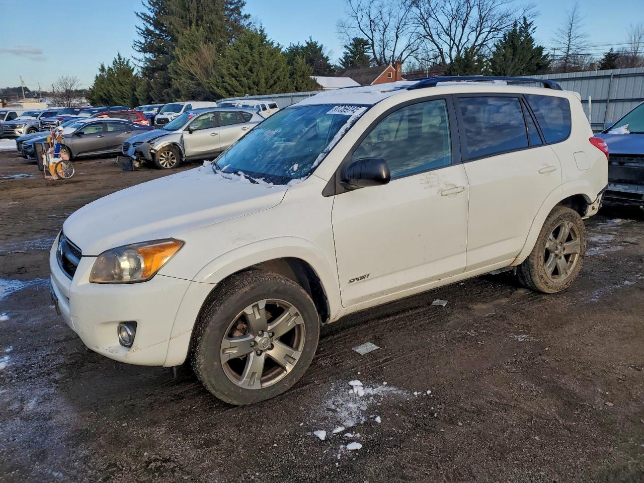 Toyota RAV4 Sport Image 1
