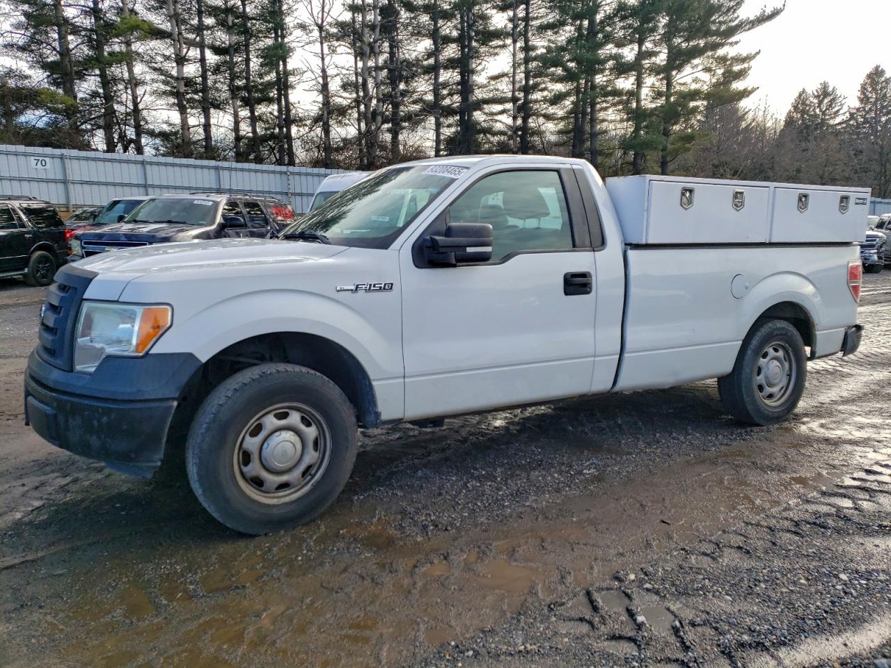 Ford F-150 Image 1