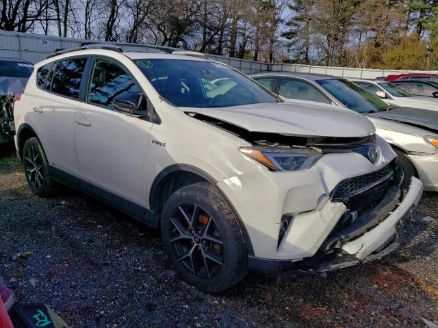 Toyota RAV4 Se Image 4