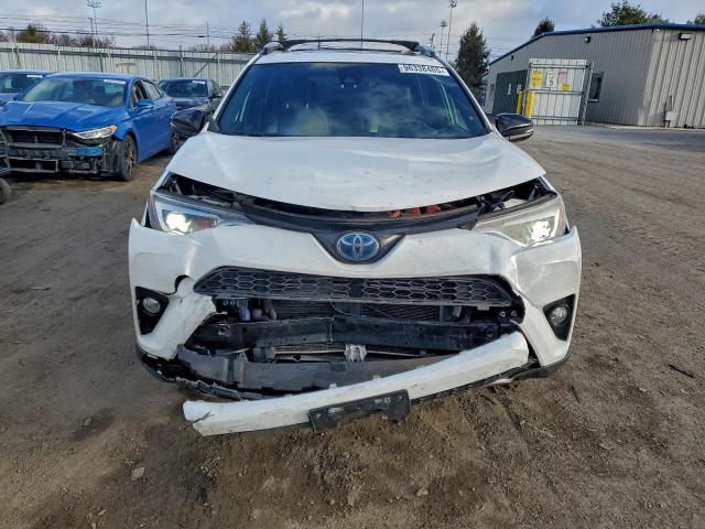 Toyota RAV4 Se Image 13