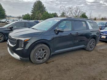  Salvage Kia Carnival