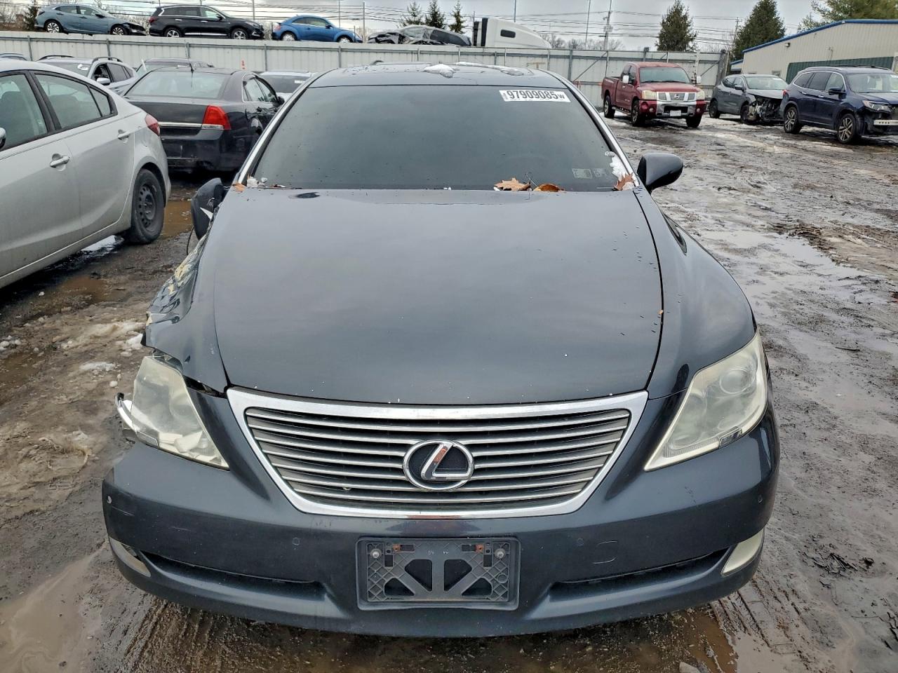 Lexus LS 460 Image 5