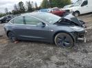 Tesla Model 3 Image 7