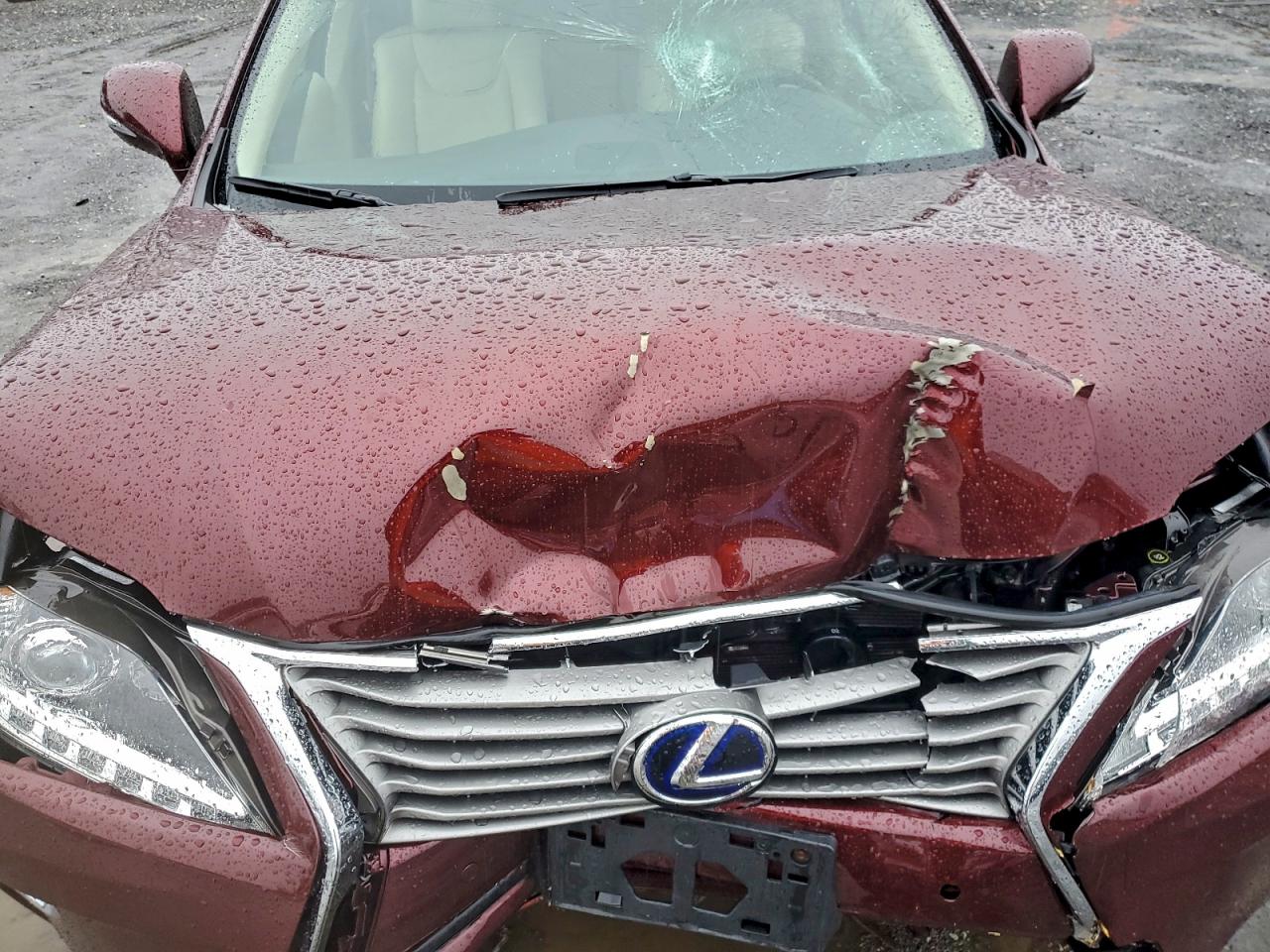 Lexus RX 450h Image 8