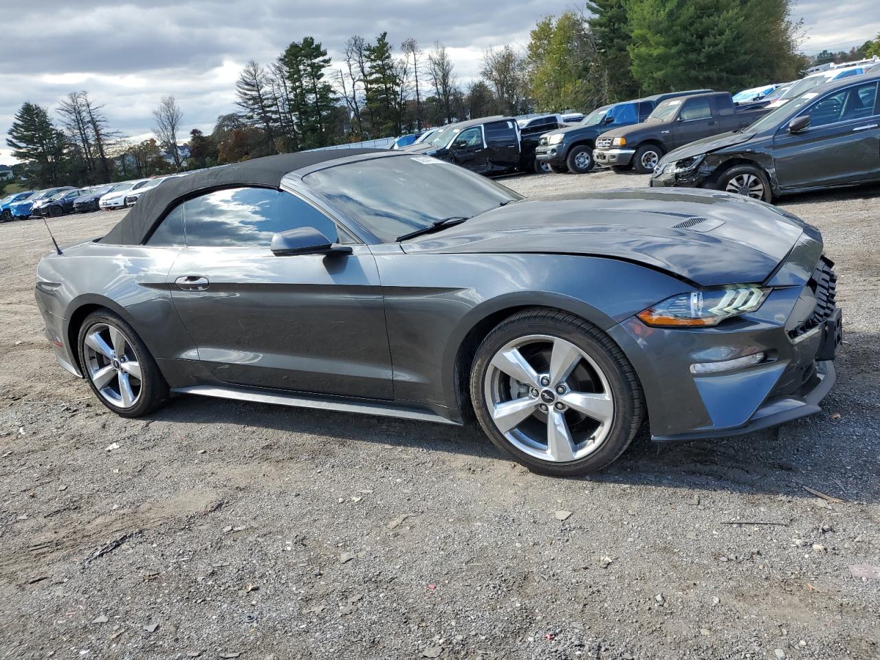 Ford Mustang Image 2