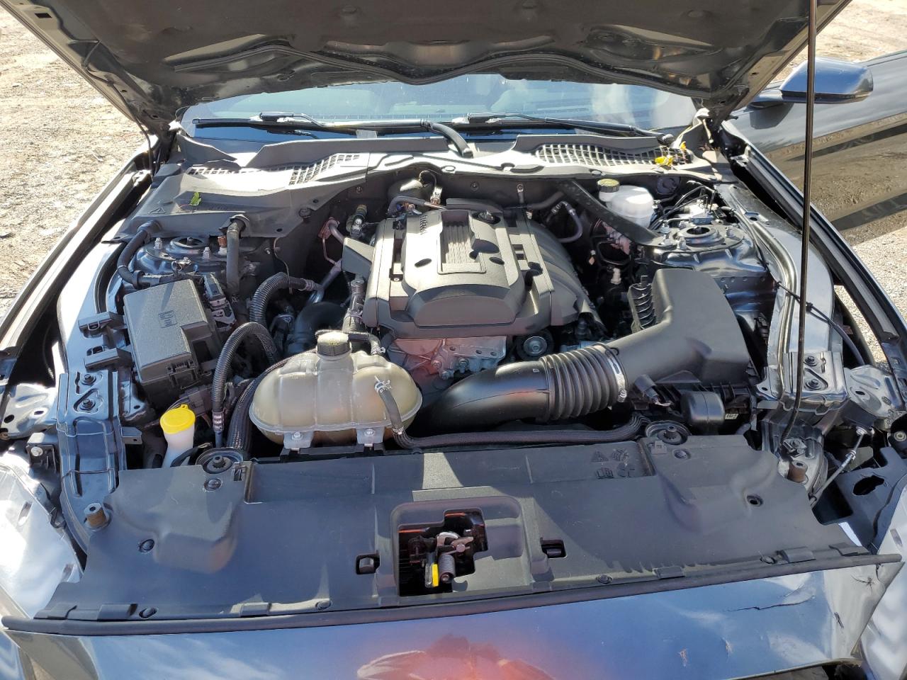 Ford Mustang Image 6