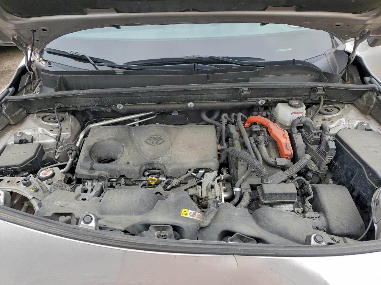 Toyota Venza Le Image 4