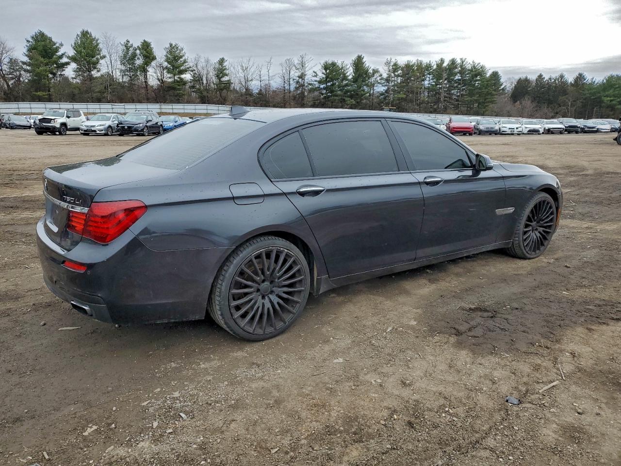 BMW 7 Series Li Image 3