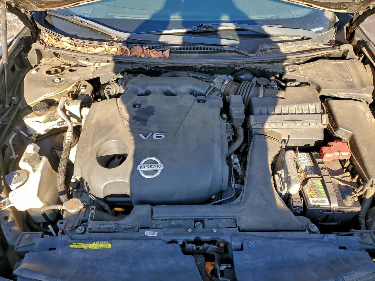 Nissan Maxima S Image 2