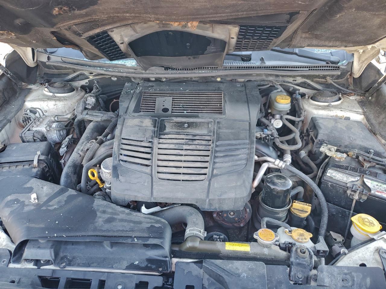 Subaru WRX Premium Image 8