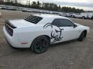 Dodge Challenger Sxt Image 8