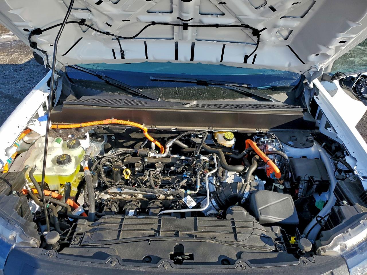 Ford Maverick Xlt Image 7