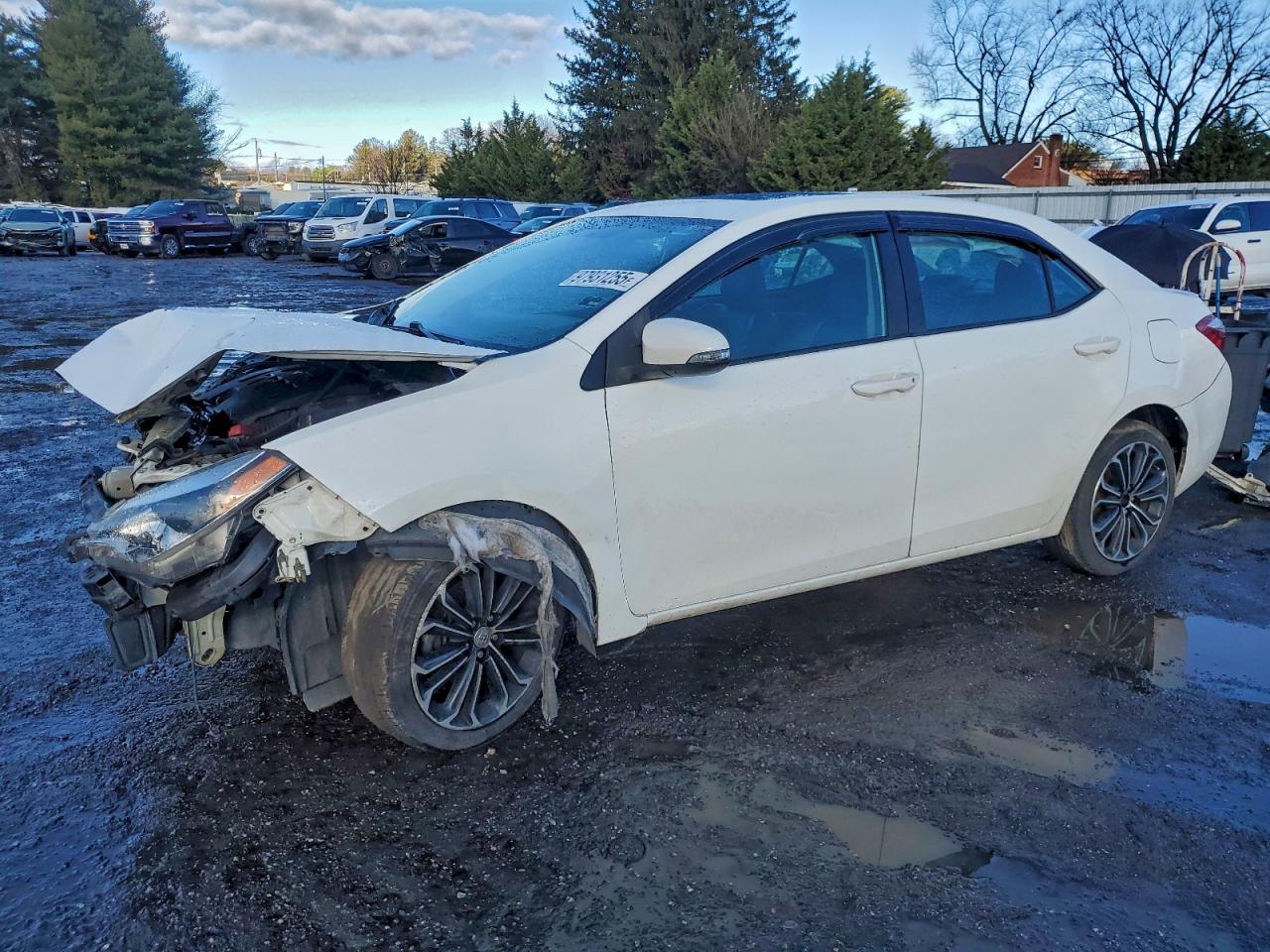 Toyota Corolla L Image 1