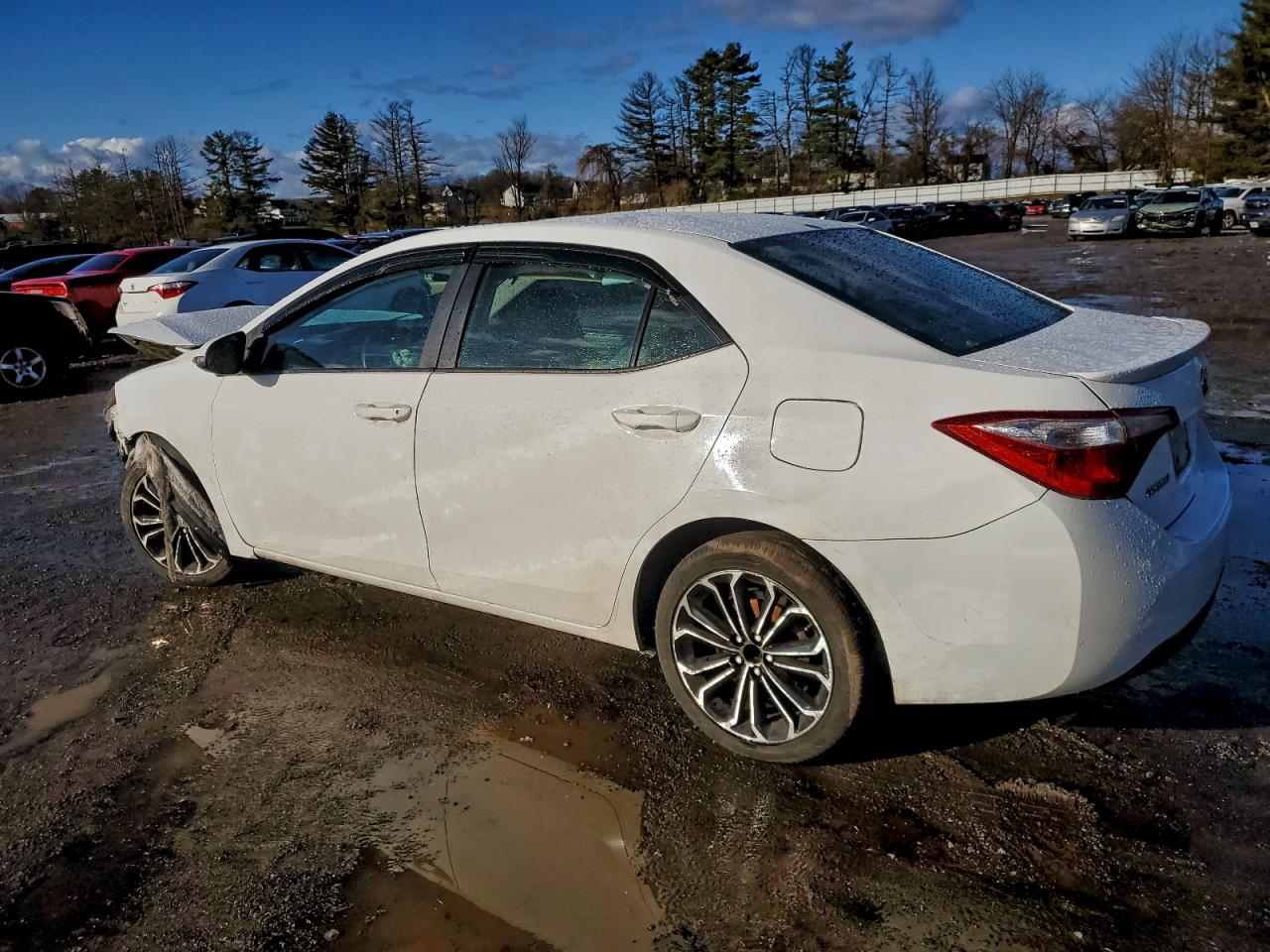 Toyota Corolla L Image 6