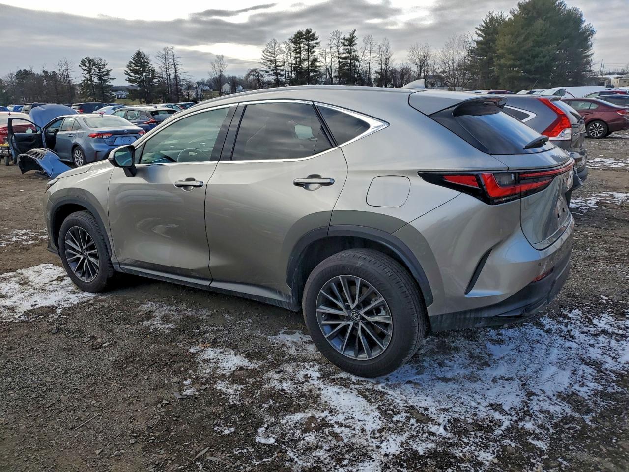 Lexus NX 350 Image 4