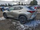 Lexus NX 350 Image 4