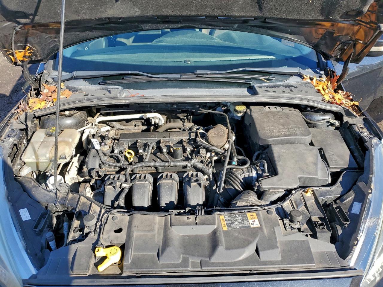 Ford Focus Se Image 4