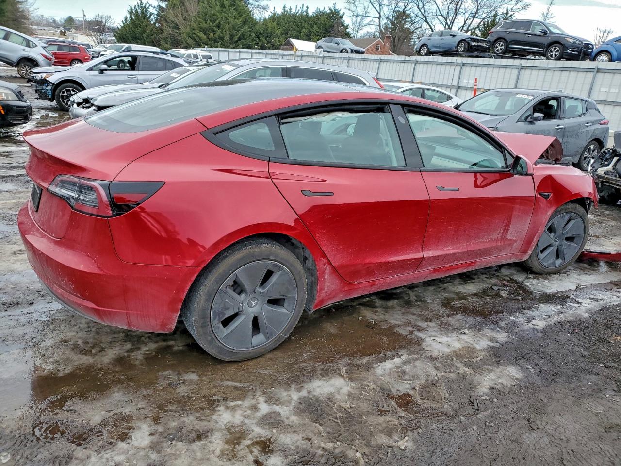 Tesla Model 3 Image 5