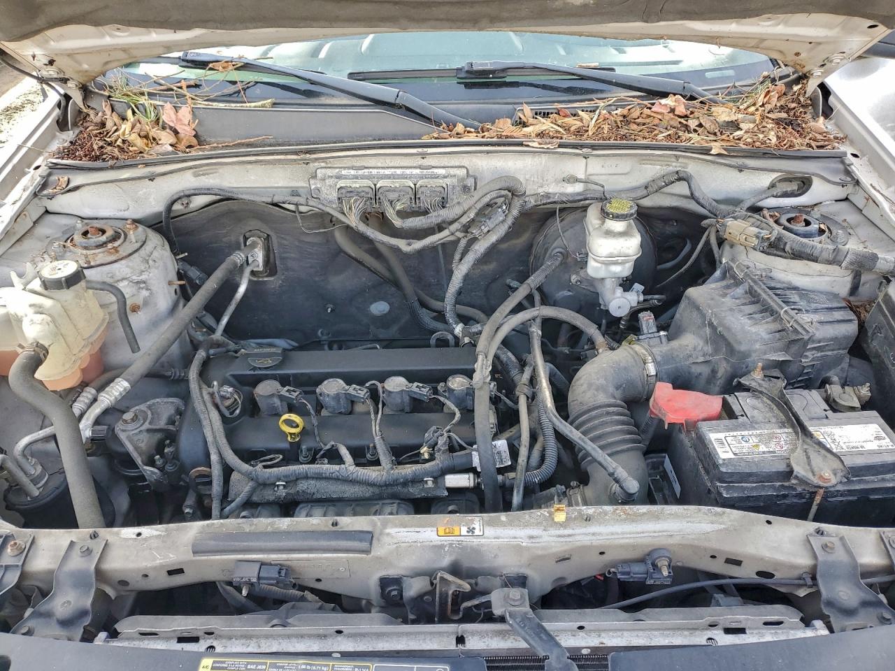 Ford Escape Xlt Image 13