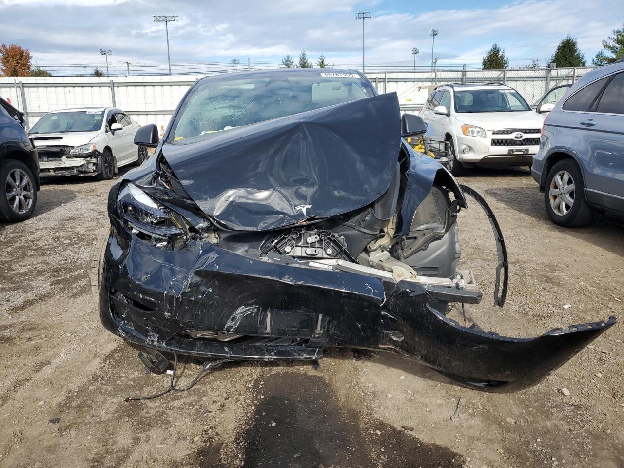 Tesla Model Y Image 4