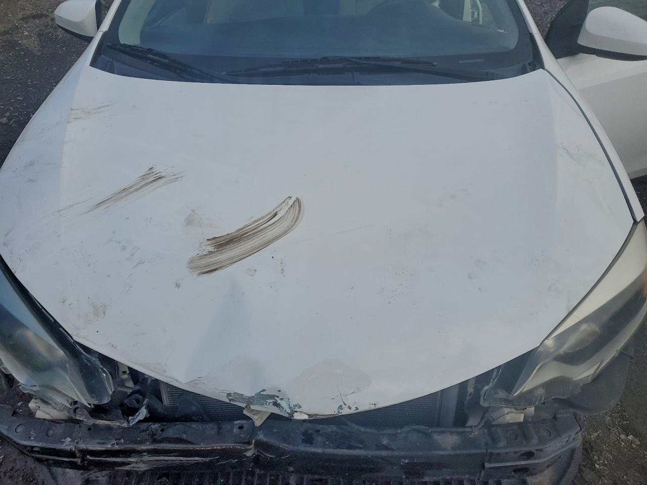 Toyota Corolla L Image 9