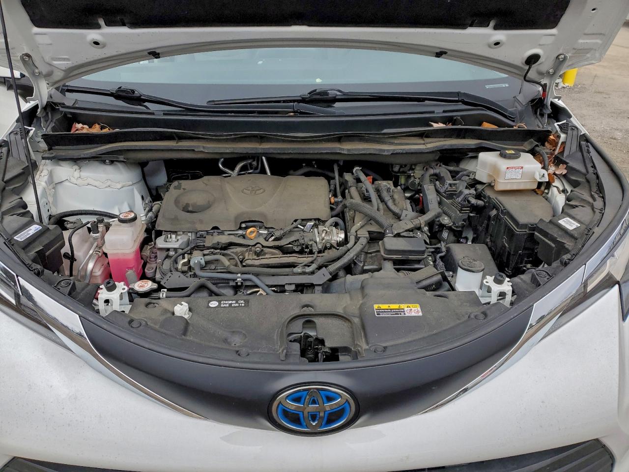 Toyota Sienna Le Image 12