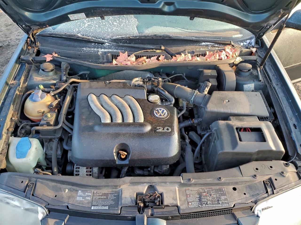 Volkswagen Jetta Gls Image 3