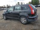 Honda Crv Lx Image 10