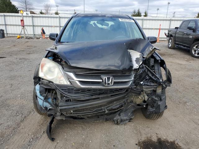 Honda Crv Lx Image 8