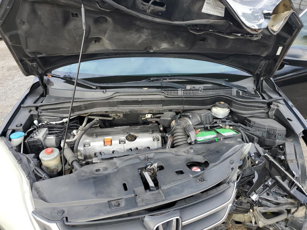 Honda Crv Lx Image 7