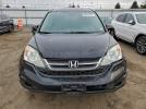 Honda Crv Se Image 10