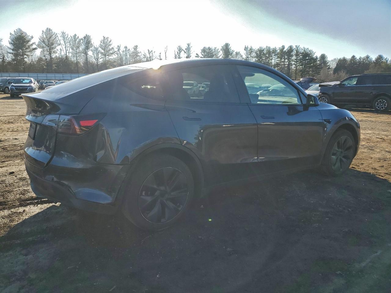 Tesla Model Y Image 11