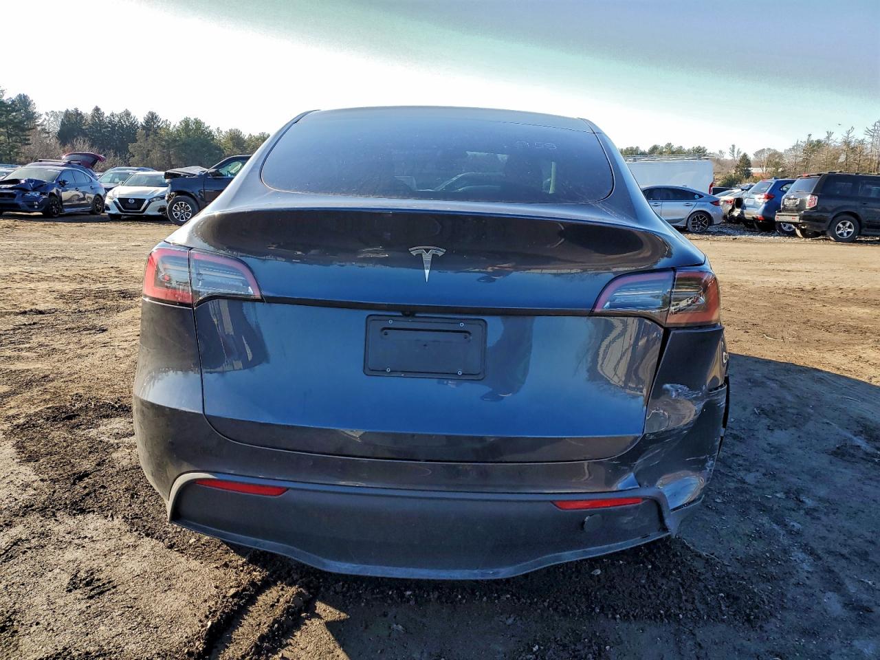 Tesla Model Y Image 10